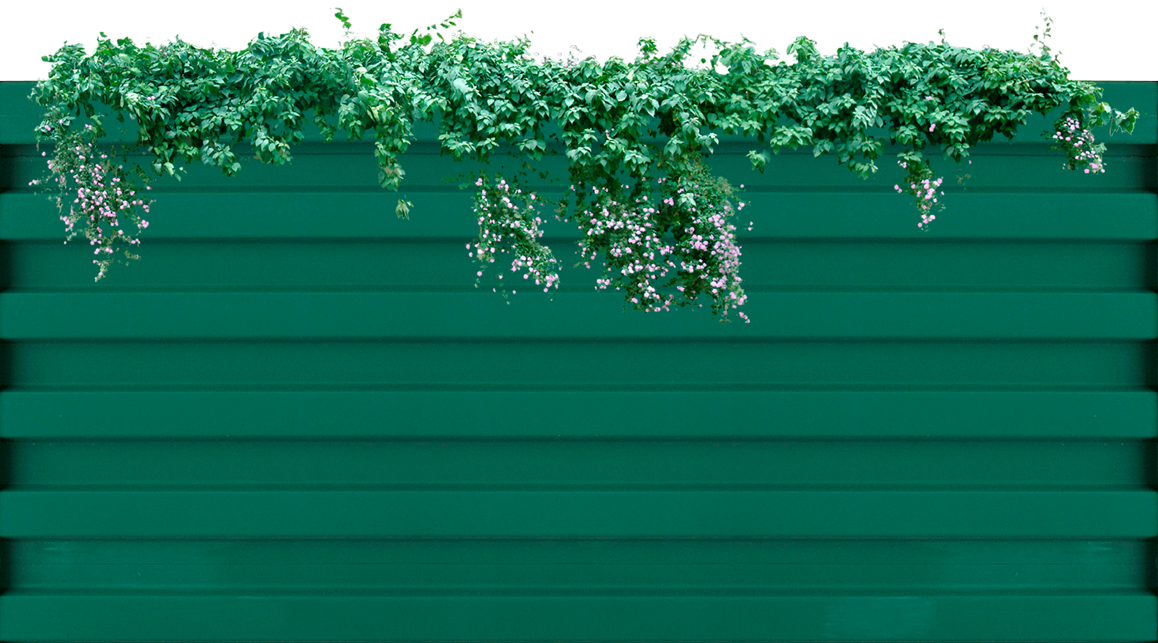 caja verde con plantas